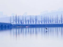 -东湖落雁景区