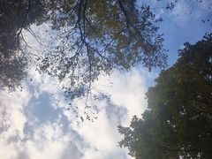 -吉林市朱雀山国家森林公园