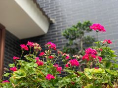 -遵化汤泉宫度假村温泉