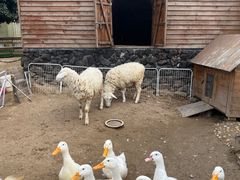 -HERRE·FARM 赫尔露营农场·团建聚会包场