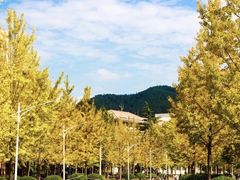 -浙江农林大学(东湖校区)