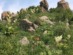 -白草畔自然风景区