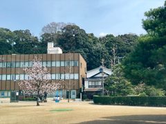 -金泽21世纪美术馆