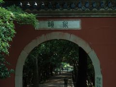 -灵谷景区