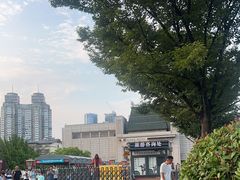 -徐州博物馆