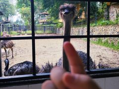 -吉隆坡雀鸟公园