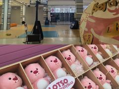 -紫荆广场·花漫里