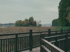 -东湖落雁景区