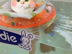 -爱婴岛(大信·新都汇店)