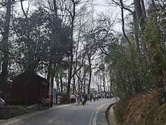 -岳麓山风景名胜区