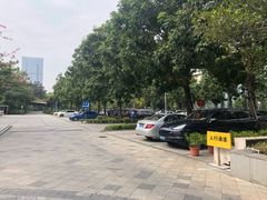 -棕榈泉国际高尔夫学院