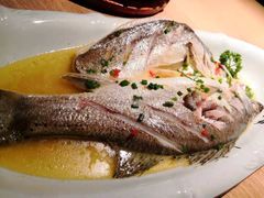 清蒸海鲈鱼-嘉禾·悦享餐厅(八方汇店)