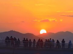 -演武大桥观景平台