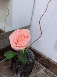 -FineYoga梵音瑜伽·普拉提
