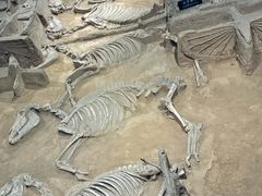 -洛阳周王城天子驾六博物馆