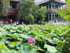 -莲池书院博物馆