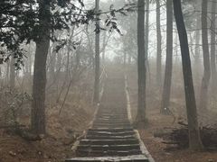 -四明山国家森林公园