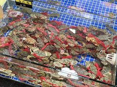 -明记海鲜大排档(巽寮湾店)