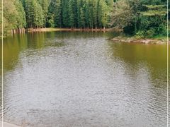 -滴水岩森林公园