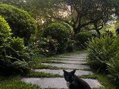 -晓港公园