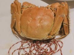 -星伦多自助料理·涮烤一体(奉贤龙湖天街店)