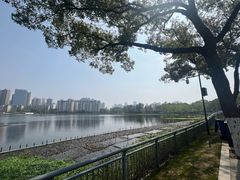 -武汉动物园