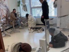 -共舞时光猫咖·狗咖(新街口店)