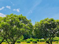 -中国科学院西双版纳热带植物园