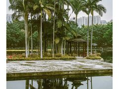 -荔湾湖公园