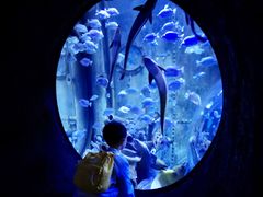 -成都浩海立方海洋公园