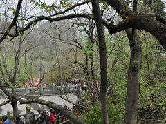 景点-武当山风景区