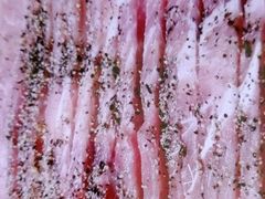 -姜胖胖韩式自助烤肉(光明万达店)