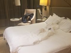 -上海中航虹桥机场泊悦酒店