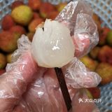 酿荔枝酒