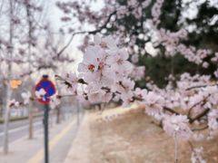 -玲珑塔公园