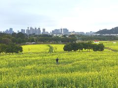-光明小镇欢乐田园