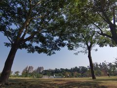-白石龙音乐公园