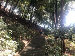 -广州市帽峰山景区