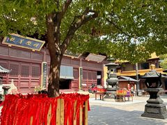 -亭林园-华藏寺