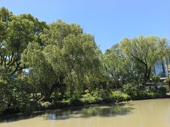 -上海醉白池公园