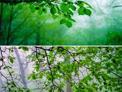 -沂蒙山旅游区云蒙景区(蒙山国家森林公园)