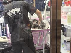 -FAELING PETS美天灵宠物(富力广场店)