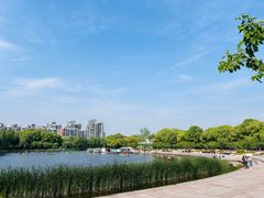 -新江湾城公园