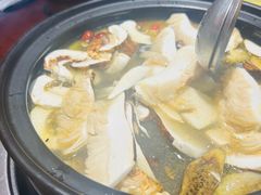 -菌之家·专业纯野生菌火锅·特色炒菌