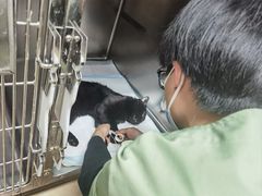 -达爱动物医院·犬猫分区·CT·复杂眼科(远洋山水分院)