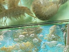 -凯华海鲜火锅·传承三十六年