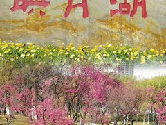 -映月湖公园