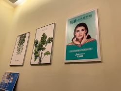 -史云逊养发护发