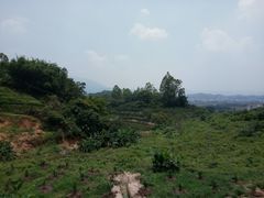 景观位-天强农家菜馆