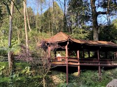 -青城山